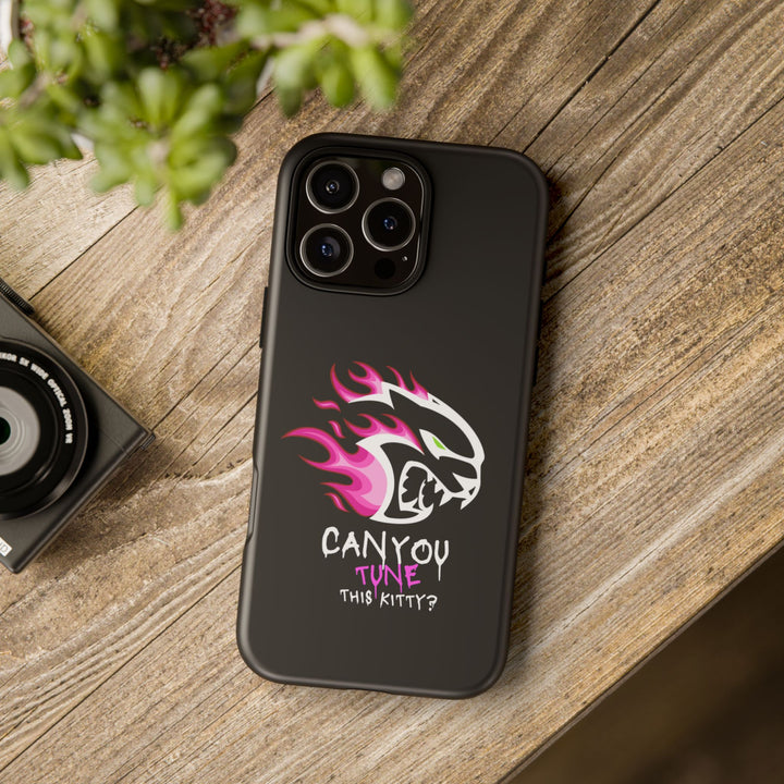"CAN YOU TUNE THIS KITTY?" Case