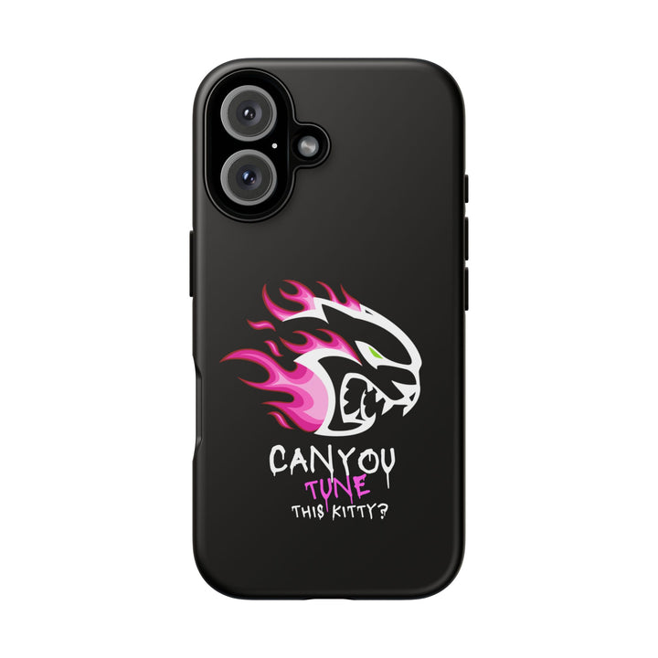 "CAN YOU TUNE THIS KITTY?" Case