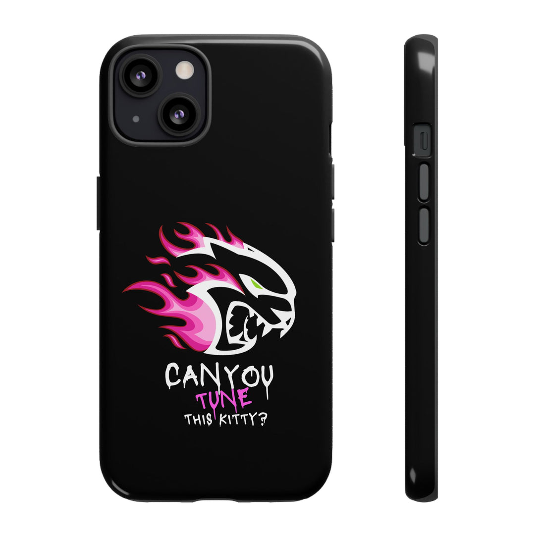 "CAN YOU TUNE THIS KITTY?" Case