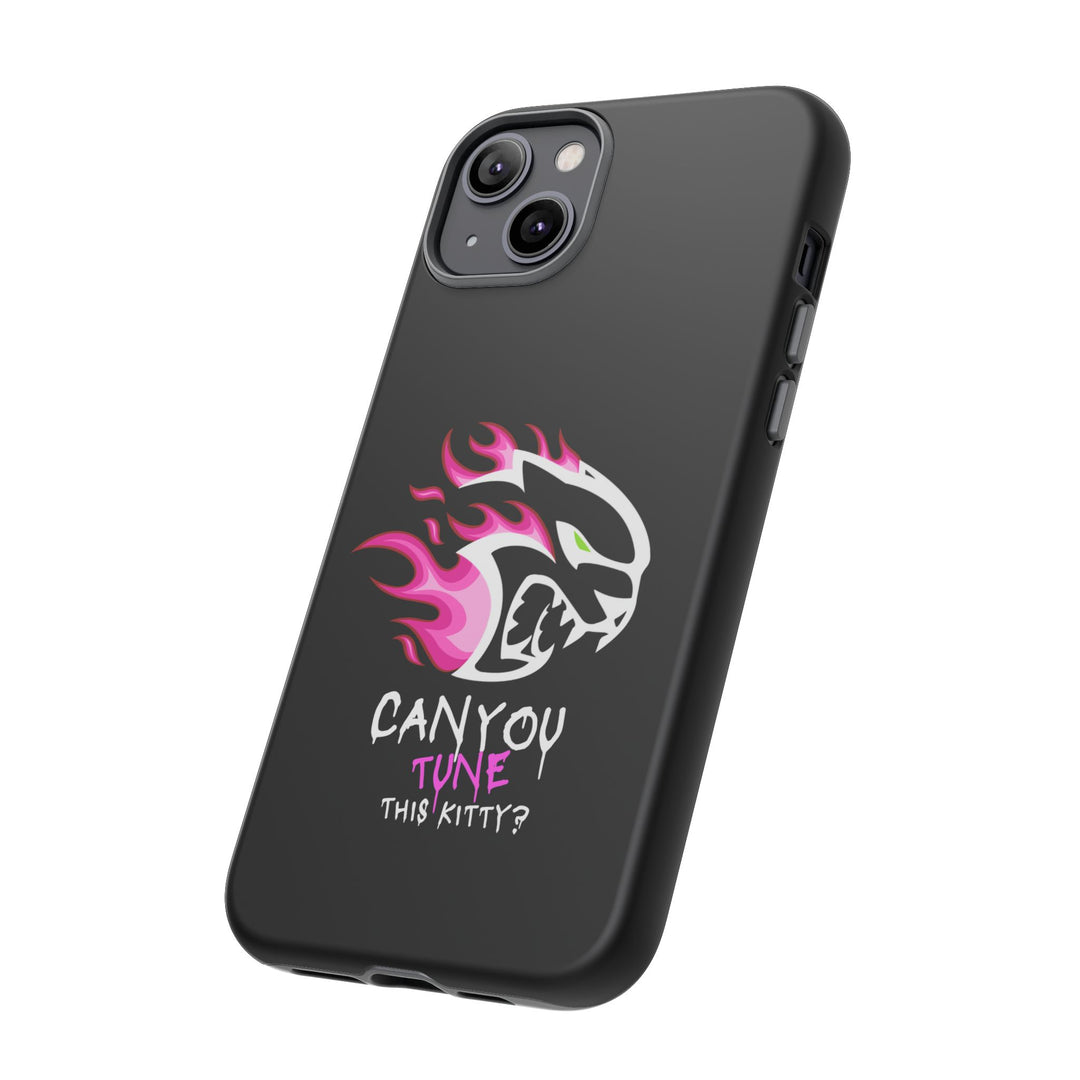 "CAN YOU TUNE THIS KITTY?" Case