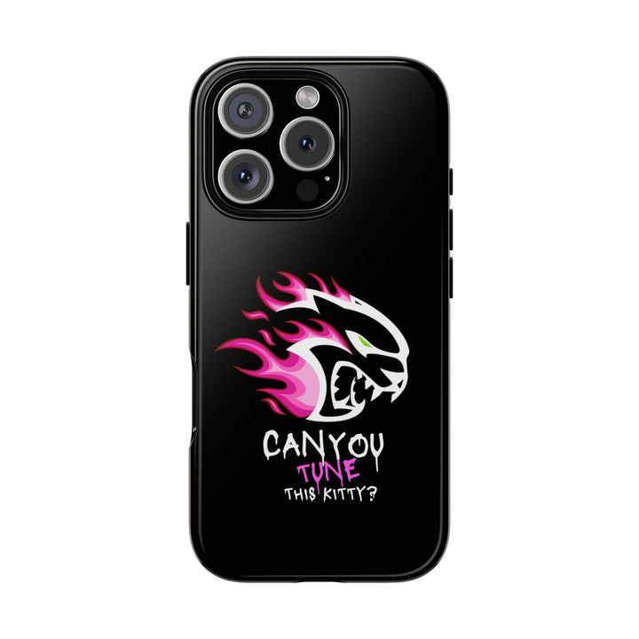 "CAN YOU TUNE THIS KITTY?" Case