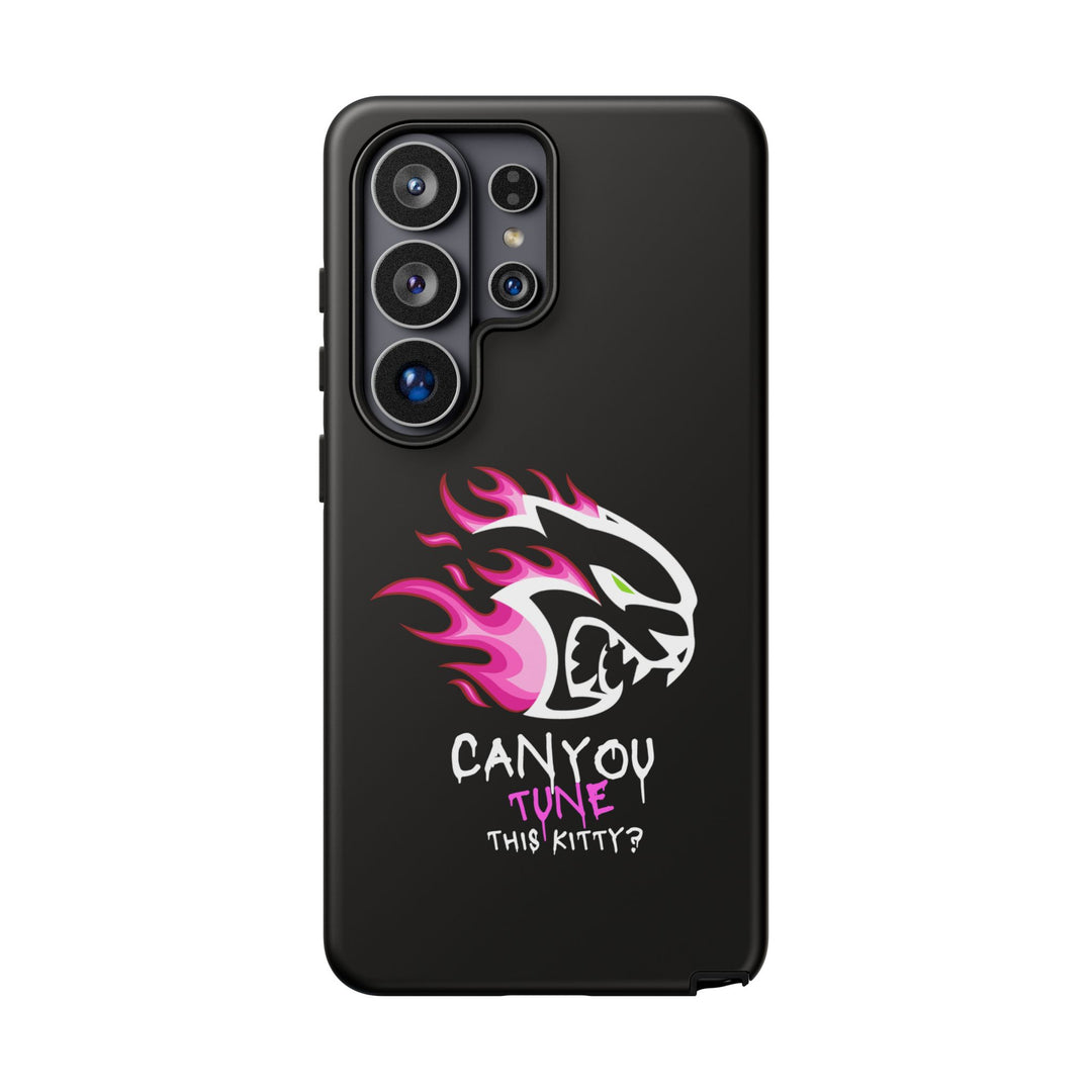 "CAN YOU TUNE THIS KITTY?" Case