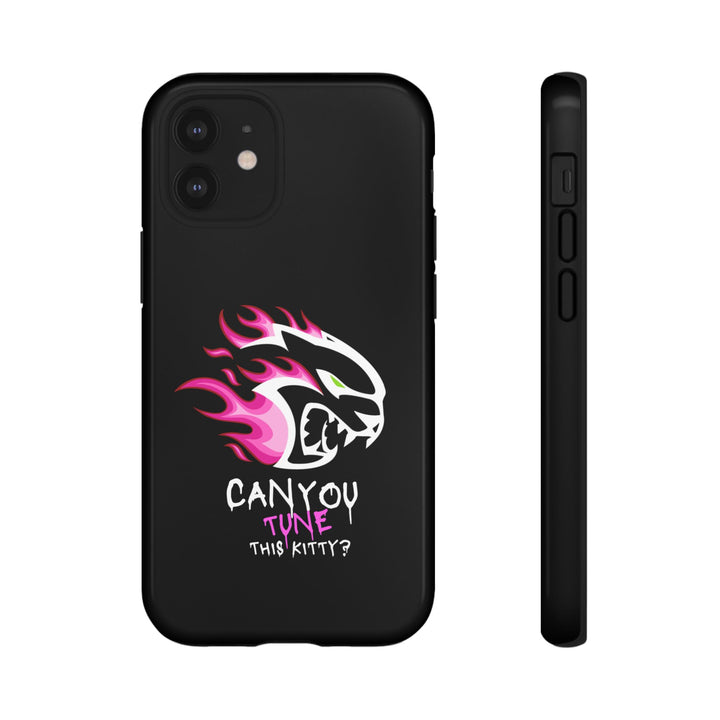 "CAN YOU TUNE THIS KITTY?" Case
