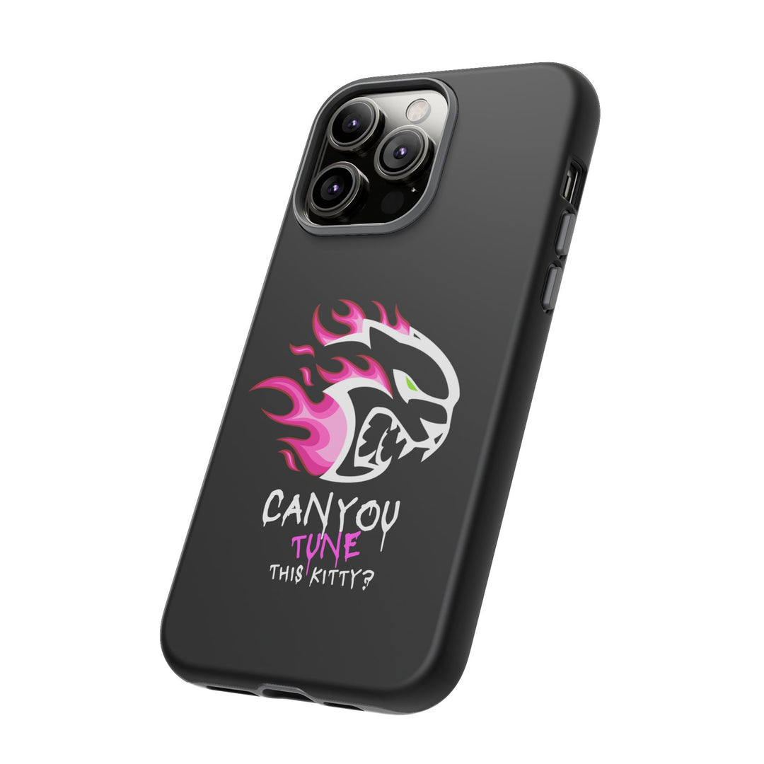 "CAN YOU TUNE THIS KITTY?" Case