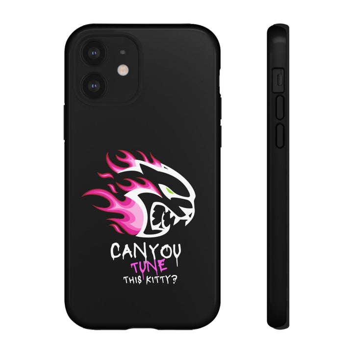 "CAN YOU TUNE THIS KITTY?" Case