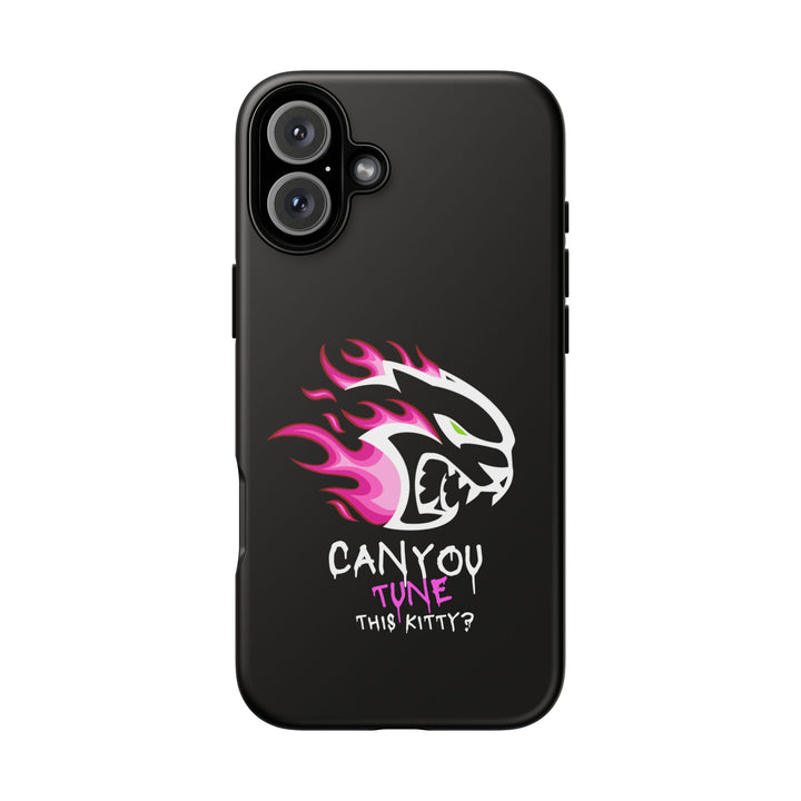 "CAN YOU TUNE THIS KITTY?" Case