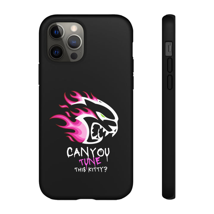 "CAN YOU TUNE THIS KITTY?" Case