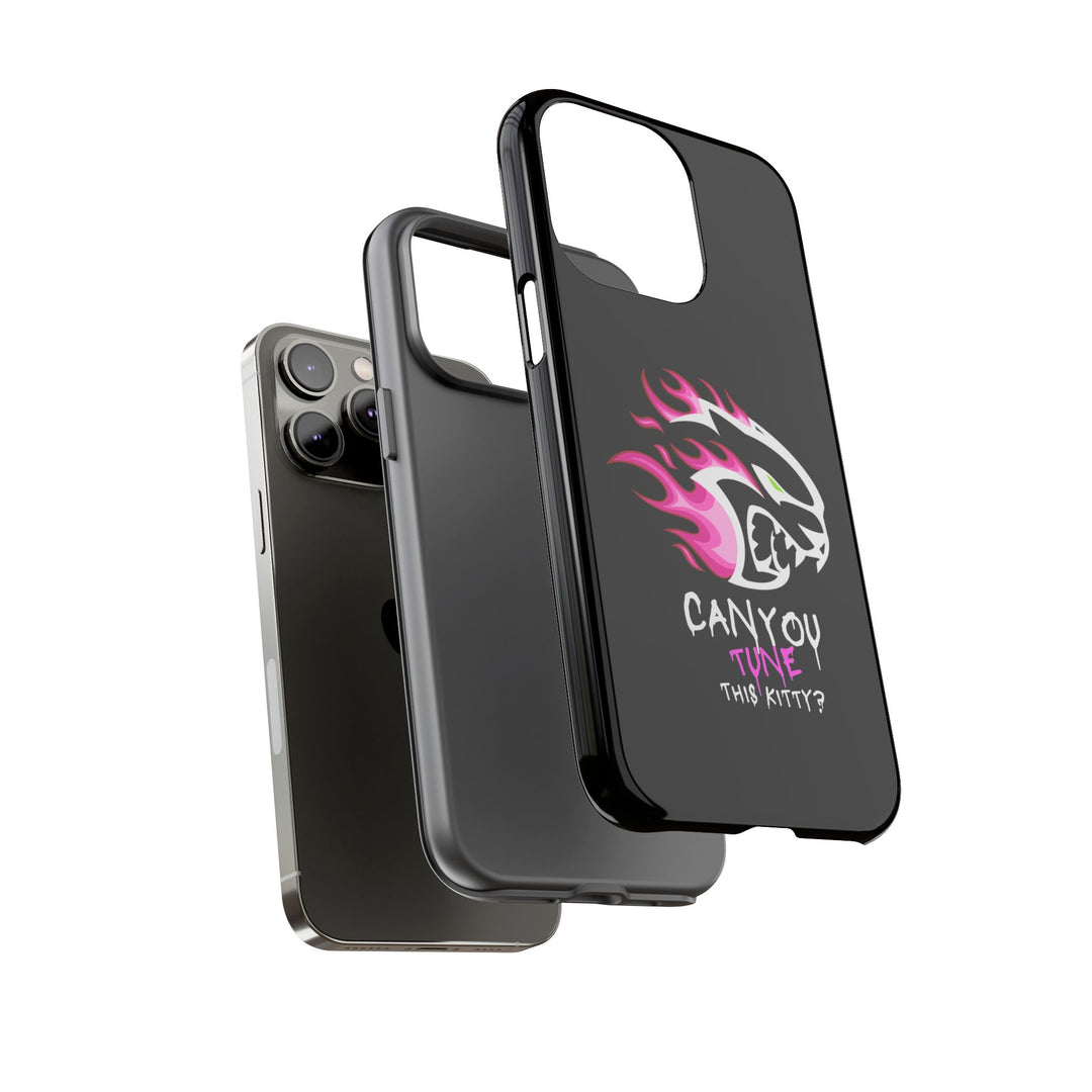"CAN YOU TUNE THIS KITTY?" Case