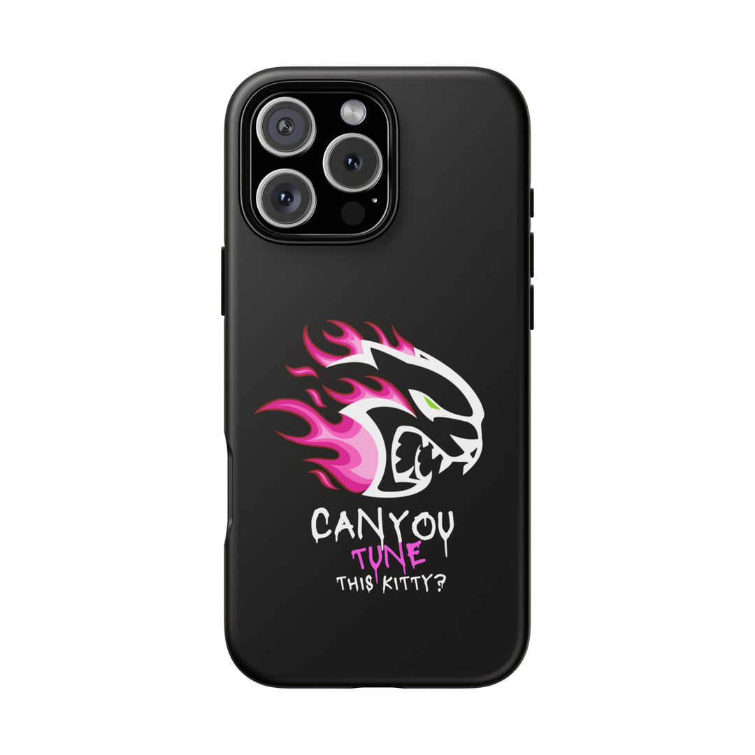 "CAN YOU TUNE THIS KITTY?" Case