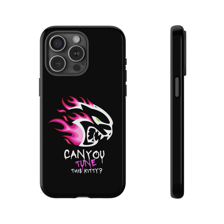 "CAN YOU TUNE THIS KITTY?" Case
