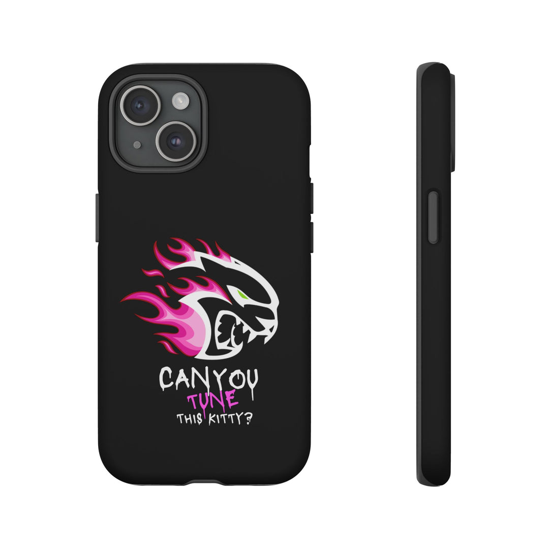 "CAN YOU TUNE THIS KITTY?" Case