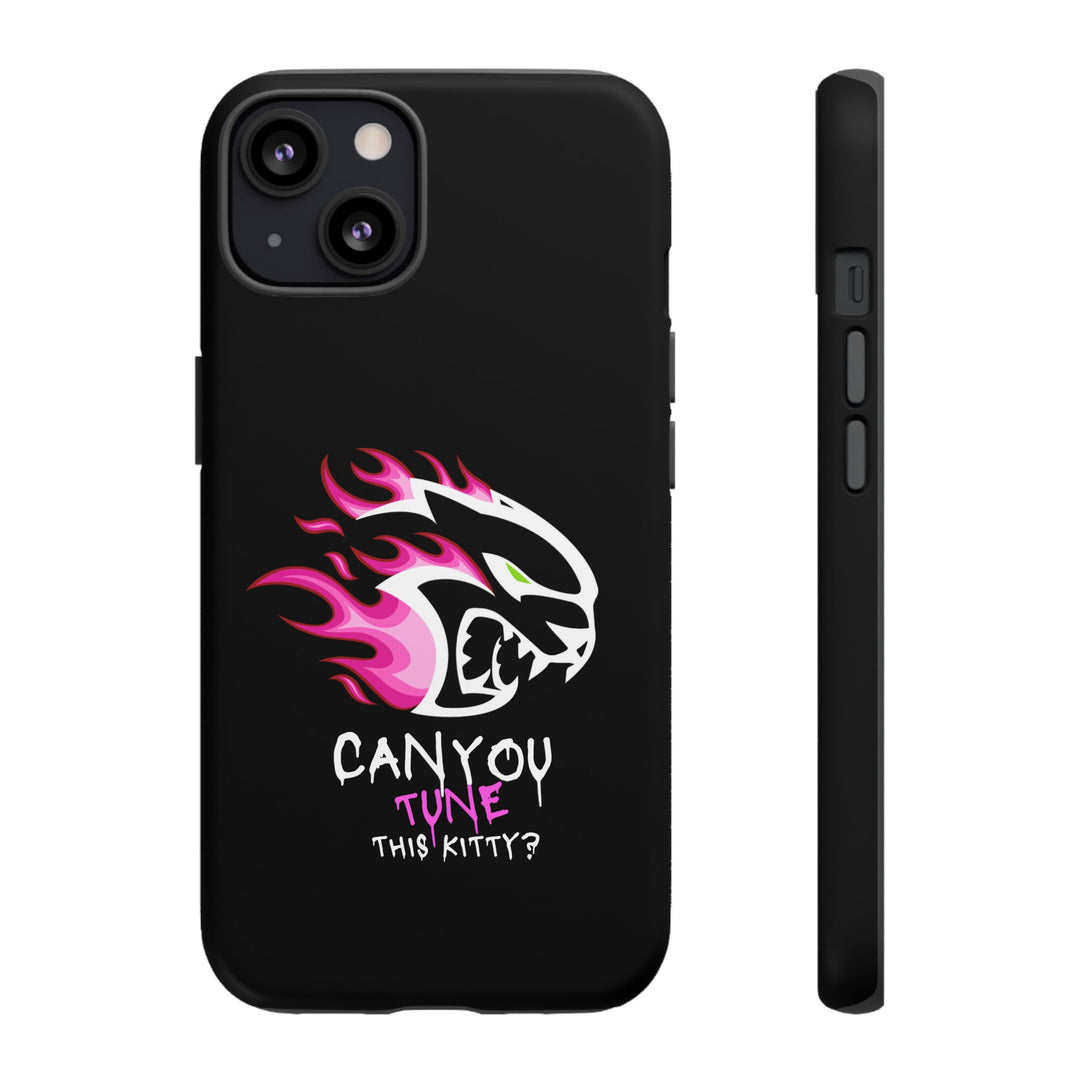 "CAN YOU TUNE THIS KITTY?" Case