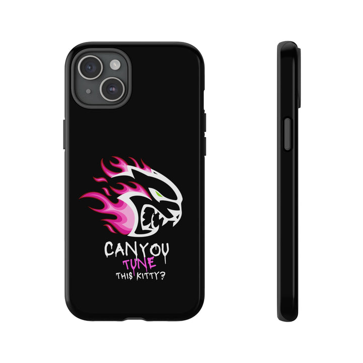 "CAN YOU TUNE THIS KITTY?" Case