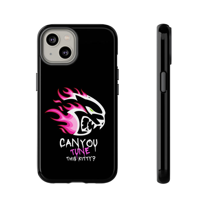 "CAN YOU TUNE THIS KITTY?" Case