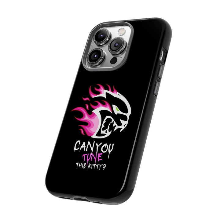 "CAN YOU TUNE THIS KITTY?" Case