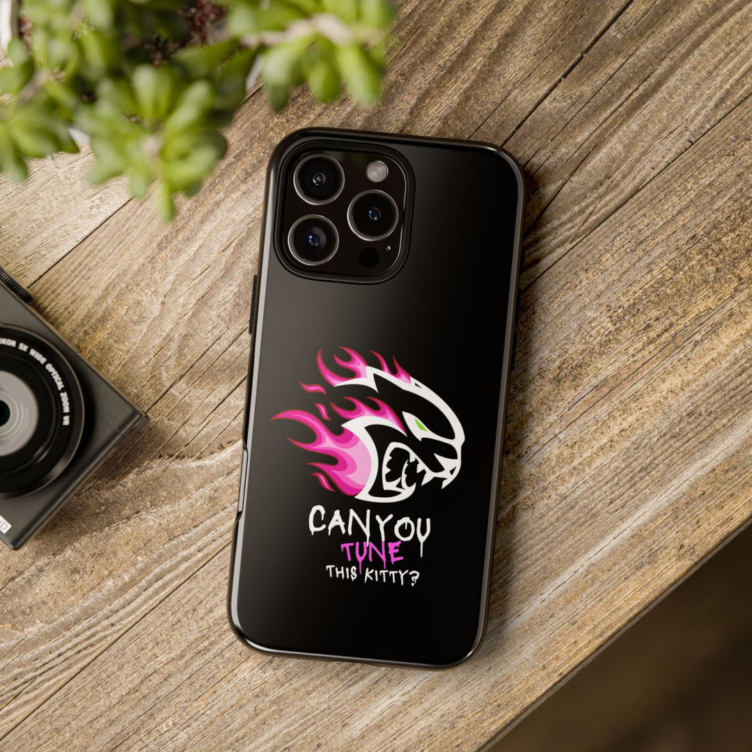 "CAN YOU TUNE THIS KITTY?" Case