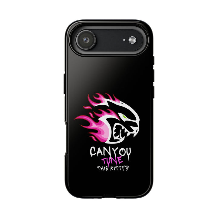 "CAN YOU TUNE THIS KITTY?" Case